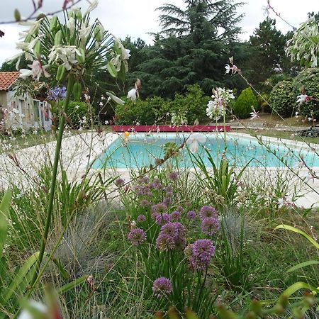 Villa Entiere Du Chateau Lacroix De Civrac 3 Ch, 3 Sdb, Piscine Xxl,Sauna, 4 Etoiles,7 Pers 외부 사진